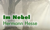 Neptuns Nebelreich bei Hermann Hesse